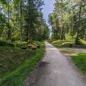 luk-muzakowa-fot-ewajak89