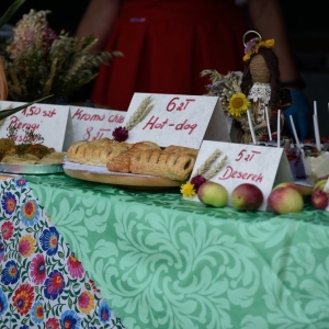 dozynki-gmina-kunice-fot-bs172.JPG