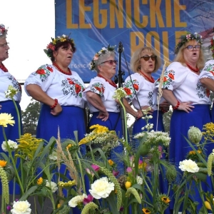 dozynki-legnickie-pole-fot-ewajak232.jpg