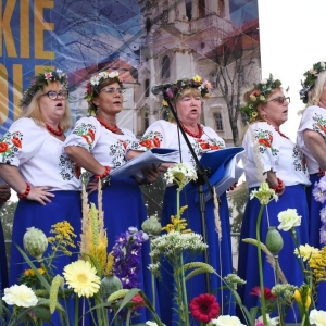 dozynki-legnickie-pole-fot-ewajak233.jpg