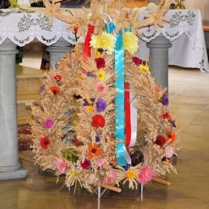 dozynki-pielgrzymka-fot-zjak004.jpg