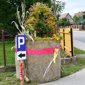 dozynki-gm-mecinka-fot-zjak002.jpg