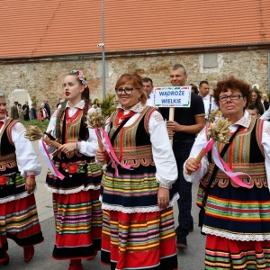 dozynki-gmny-wadroze-fot-ewajak124.jpg