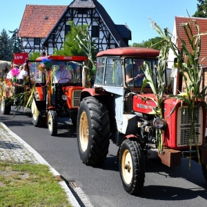 dozynki-gm-prochowice-fot-ewajak068.jpg