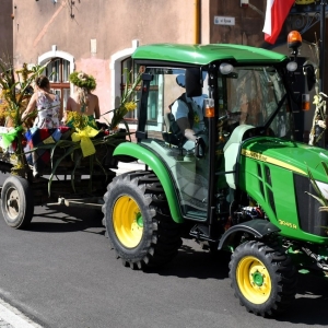 dozynki-gm-prochowice-fot-ewajak083.jpg
