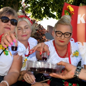 dozynki-gm-prochowice-fot-ewajak192.jpg