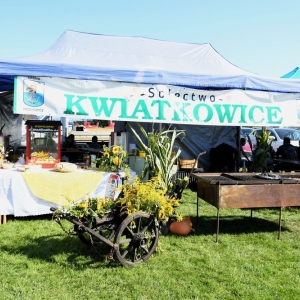 swieto-plonow-prochowice-fot-ewajak016.jpg
