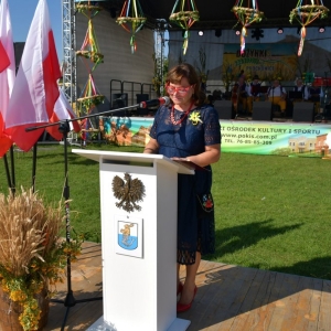 swieto-plonow-prochowice-fot-ewajak050.jpg