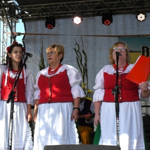 swieto-plonow-prochowice-fot-ewajak108.jpg