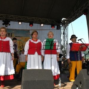 swieto-plonow-prochowice-fot-ewajak110.jpg