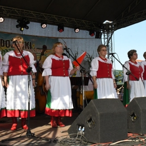 swieto-plonow-prochowice-fot-ewajak111.jpg