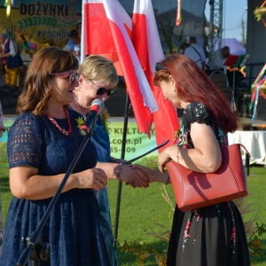 swieto-plonow-prochowice-fot-ewajak247.jpg