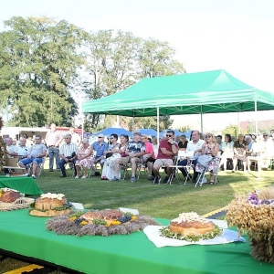 dozynki-gm-polkowice-fot-dariusz-szymacha59.jpg