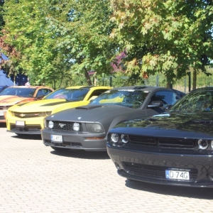 kozlice-bieg-charytatywnfot-marzena-machniak(1).JPG