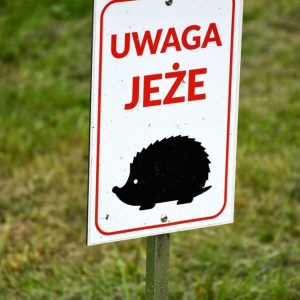 umowa-droga-jawor-fot-zjak12.jpg