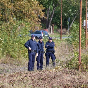 kolej-wraca-do-zlotoryi-fot-zjak22.jpg