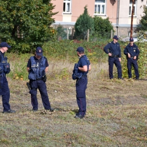 kolej-wraca-do-zlotoryi-fot-zjak78.jpg