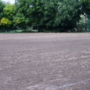 boisko-tyniec-fot-zjak31.jpg
