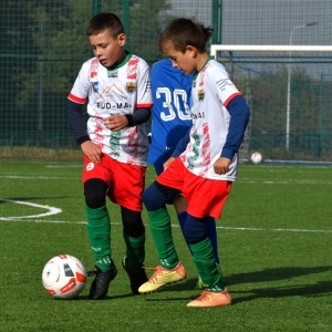 turniej-dzpn-chojnow-fot-ewajak011.jpg