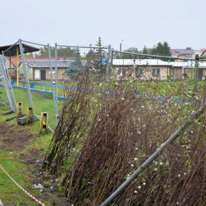 mdernizacja-stadionu-proch-fot-zjak34.jpg