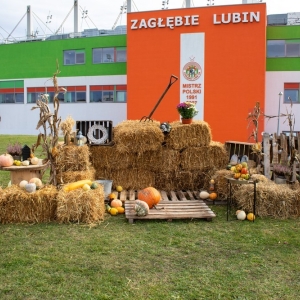 dyniowa-strefa-zaglebia-fot-jakub-wieczorek47.jpg