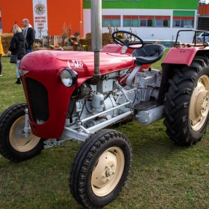 dyniowa-strefa-zaglebia-fot-jakub-wieczorek53.jpg