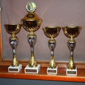 yurniej-bilardowy-fot-zjak11.jpg