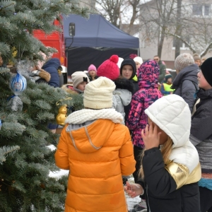 chiunka-kunice-fot-zjak08.jpg