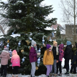 chiunka-kunice-fot-zjak14.jpg