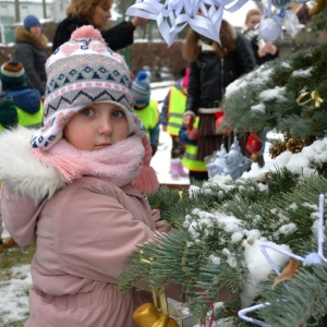 chiunka-kunice-fot-zjak22.jpg