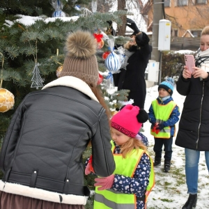chiunka-kunice-fot-zjak26.jpg