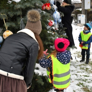 chiunka-kunice-fot-zjak27.jpg
