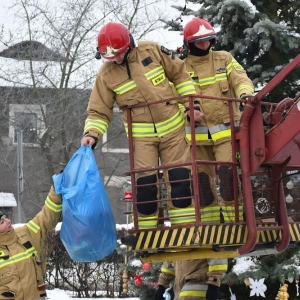 chiunka-kunice-fot-zjak71.jpg