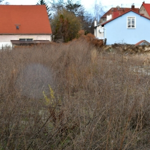 jawor-72-mieszkan-fot-zjak05.jpg