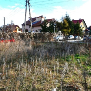 jawor-72-mieszkan-fot-zjak37.jpg