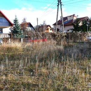 jawor-72-mieszkan-fot-zjak38.jpg