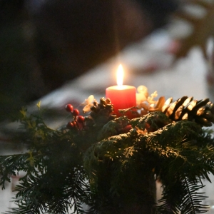 DSC_2700.JPG