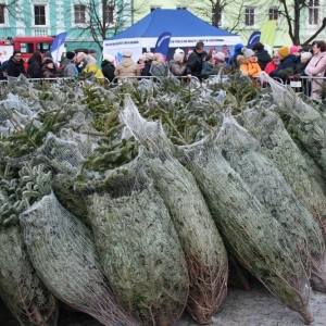 167.12.23-jarmark-chocianow-fot-zj039.JPG
