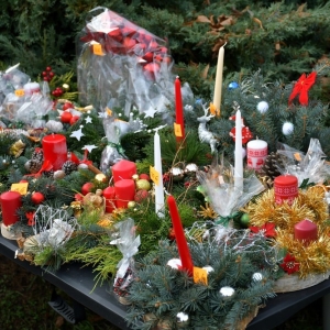 kunicki-jarmark-fot-zjak008.jpg