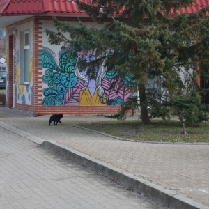 kosmider-burmistrzem-polkowic-fot-zjak59.jpg