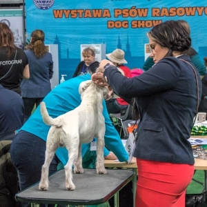 wystawa-psow-fot-ewajak024.jpg