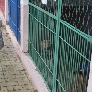 schronisko_dzien_babci_dziadka_fot_dawid_soltys04.jpg