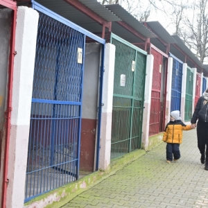 schronisko_dzien_babci_dziadka_fot_dawid_soltys05.jpg