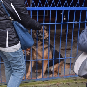 schronisko_dzien_babci_dziadka_fot_dawid_soltys09.jpg