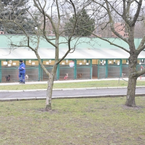 schronisko_dzien_babci_dziadka_fot_dawid_soltys16.jpg