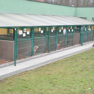 schronisko_dzien_babci_dziadka_fot_dawid_soltys19.jpg