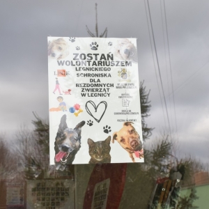 schronisko_dzien_babci_dziadka_fot_dawid_soltys25.jpg