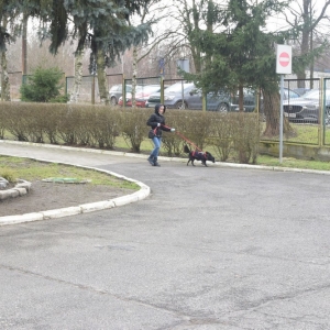 schronisko_dzien_babci_dziadka_fot_dawid_soltys29.jpg