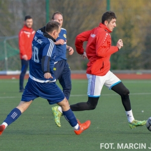 wilki-fot-mariusz-juszczyk42.jpg
