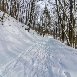 dwie-wieze-fot-ewajak01.jpg